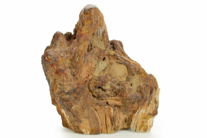 Triassic-Age Petrified Wood Log - Madagascar #379250